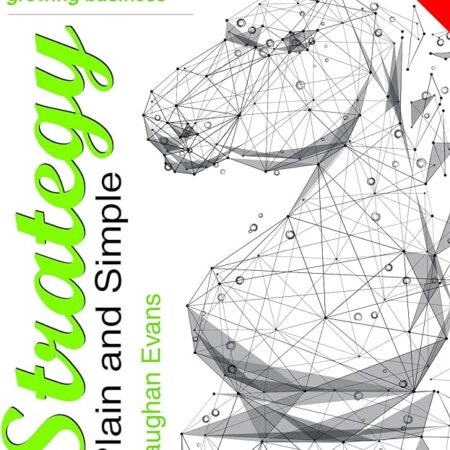 STRATEGY PLAIN AND SIMPLE BY VAUGHAN EVANS