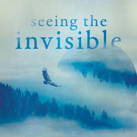 SEEING THE INVISIBLE BY DON NORI, SR AND THO